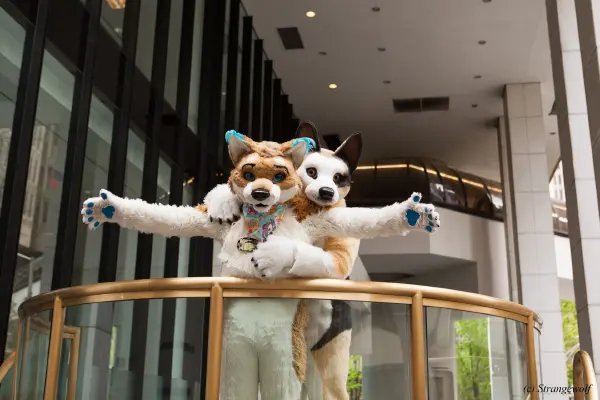 IMG_1706-lr19t.jpg of FWA/FWA2018/