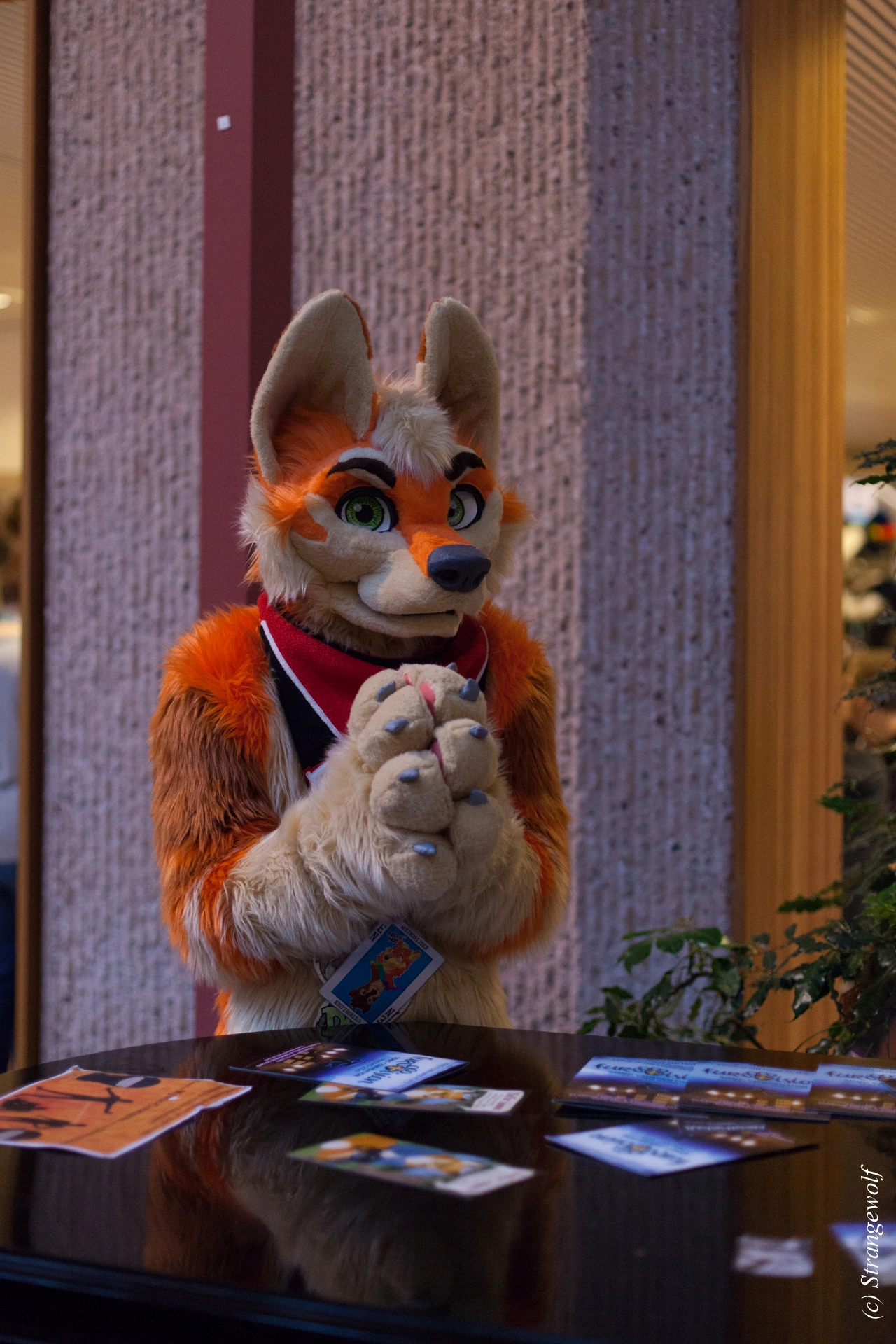 full image IMG_9578-lr19t.jpg