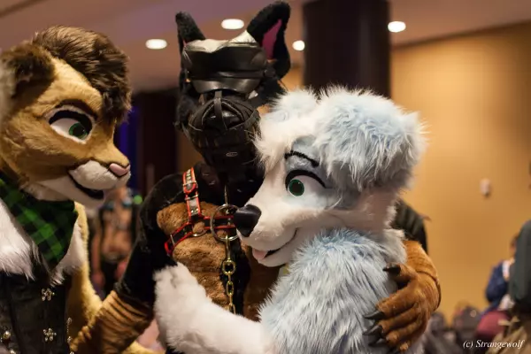 IMG_7630-lr19t.jpg of MFF/MFF2018/