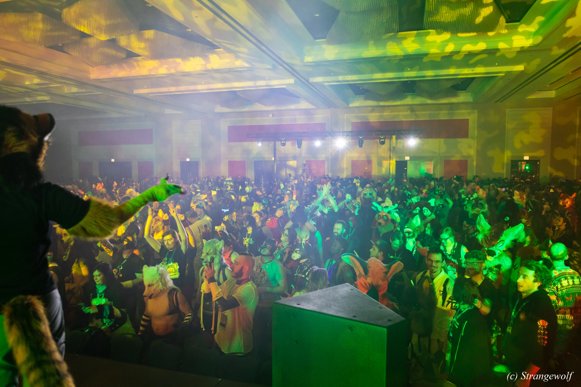 full image 1R3A4830-lr19t.jpg