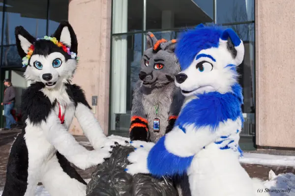 IMG_9658-lr19t.jpg of NFC/NFC2018/