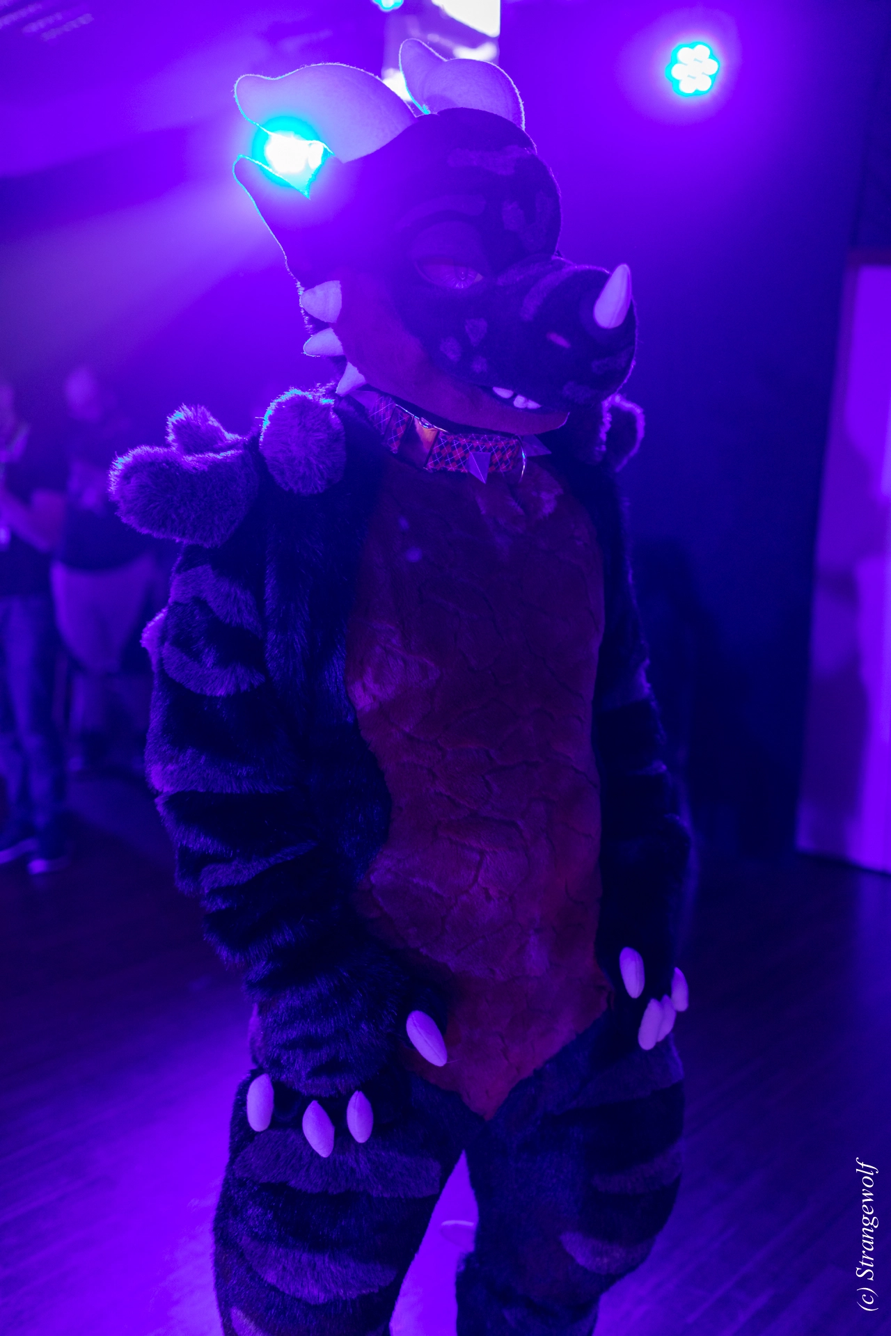 full image 1R3A6785-lr19t.jpg