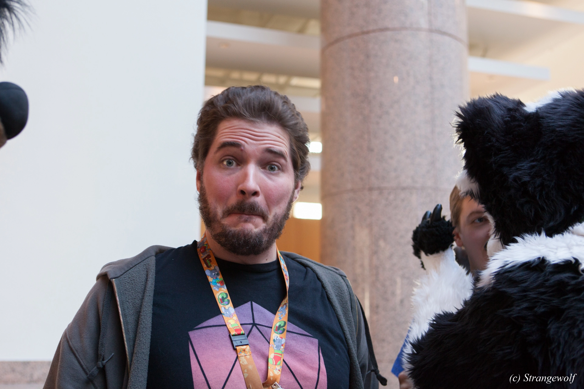 full image IMG_8745-lr19t.jpg