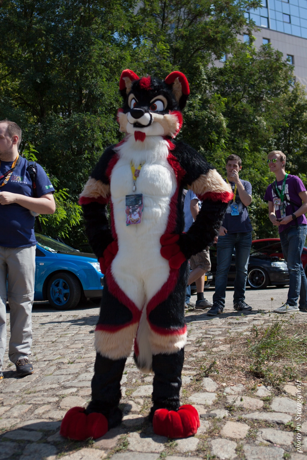 full image IMG_2278-lr16t.jpg