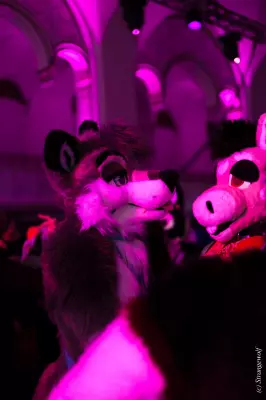 IMG_2954-lr19t.jpg of ANE/ANE2022/