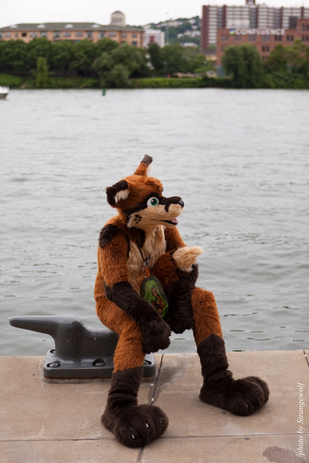 full image IMG_8324-lr16t.jpg