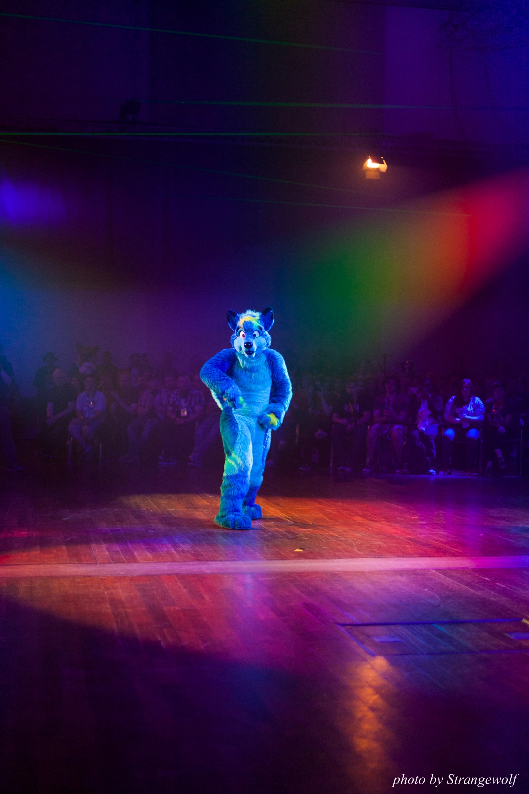 full image IMG_2803-lr16t-2.jpg