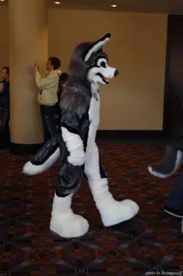 IMG_0504-lr.jpg of MFF/MFF2013/