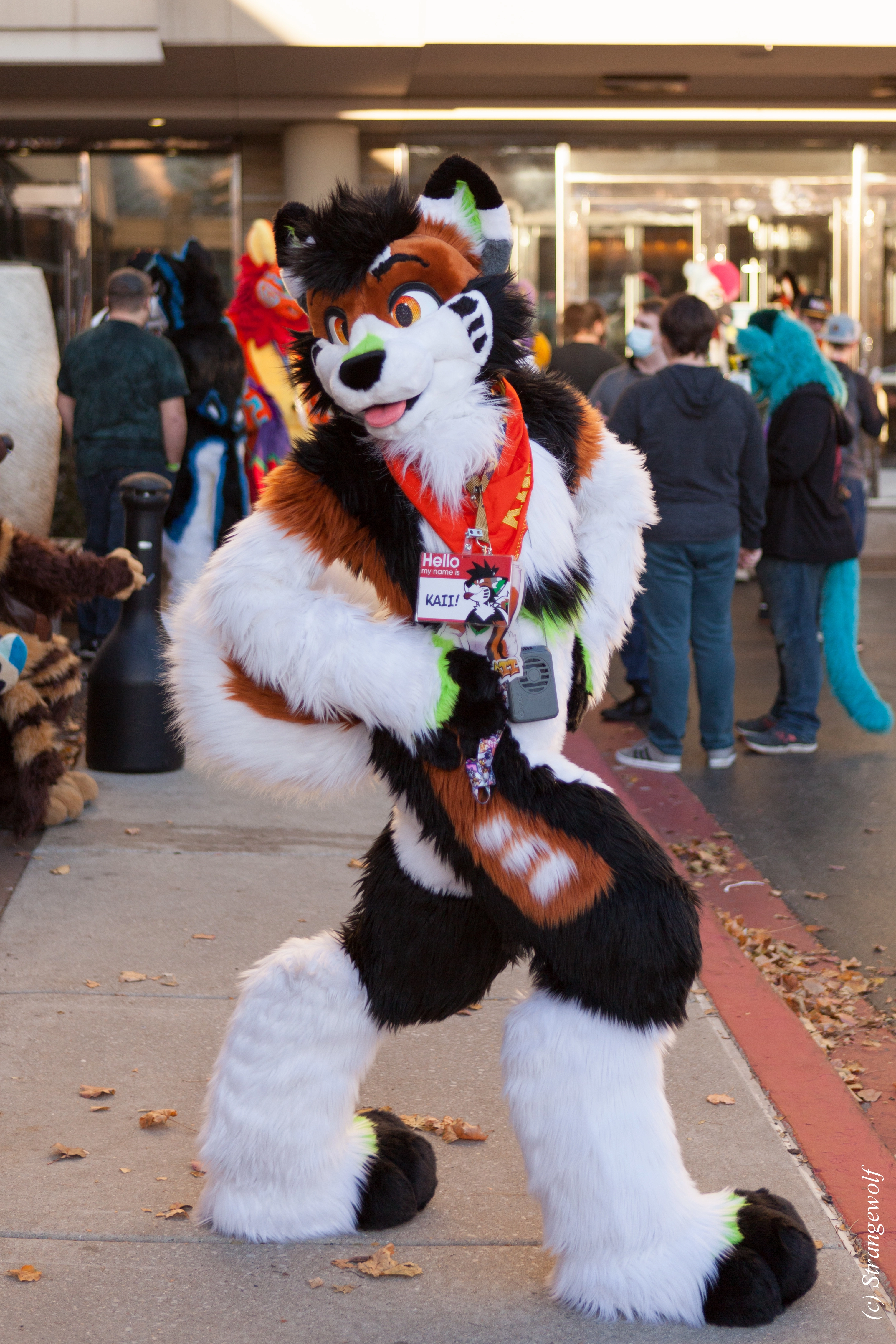 full image IMG_0953-lr.jpg