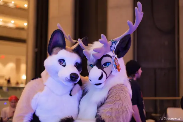 IMG_2036-lr19t.jpg of FWA/FWA2018/