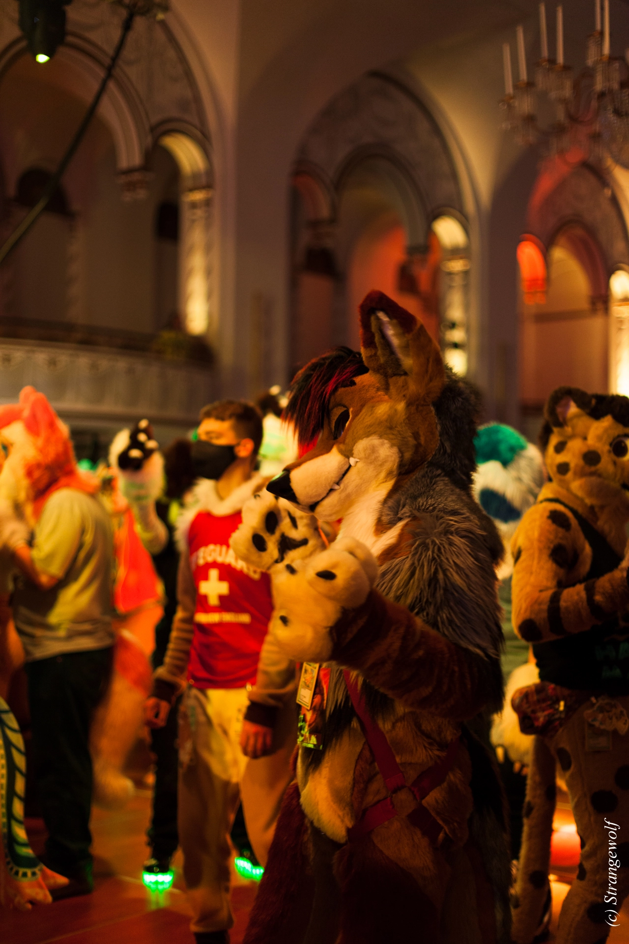 full image IMG_2989-lr19t.jpg