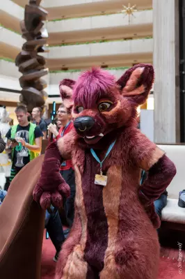 IMG_7402-lr19t.jpg of MFF/MFF2018/