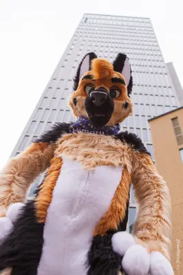 IMG_9043-lr19t.jpg of NFC/NFC2020/