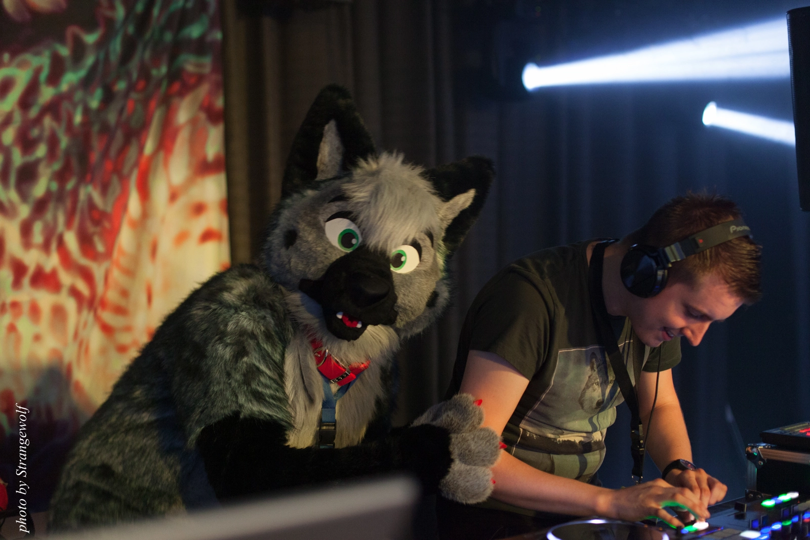 full image IMG_8661-lr16t.jpg