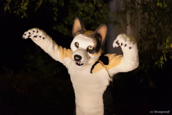 IMG_6427-lr19t.jpg of DFD/DFD2018/