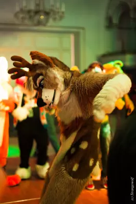 IMG_3075-lr19t.jpg of ANE/ANE2022/
