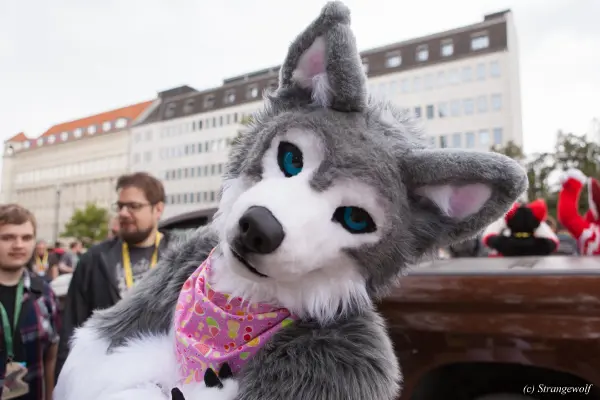 IMG_5307-lr19t.jpg of EF/EF24/