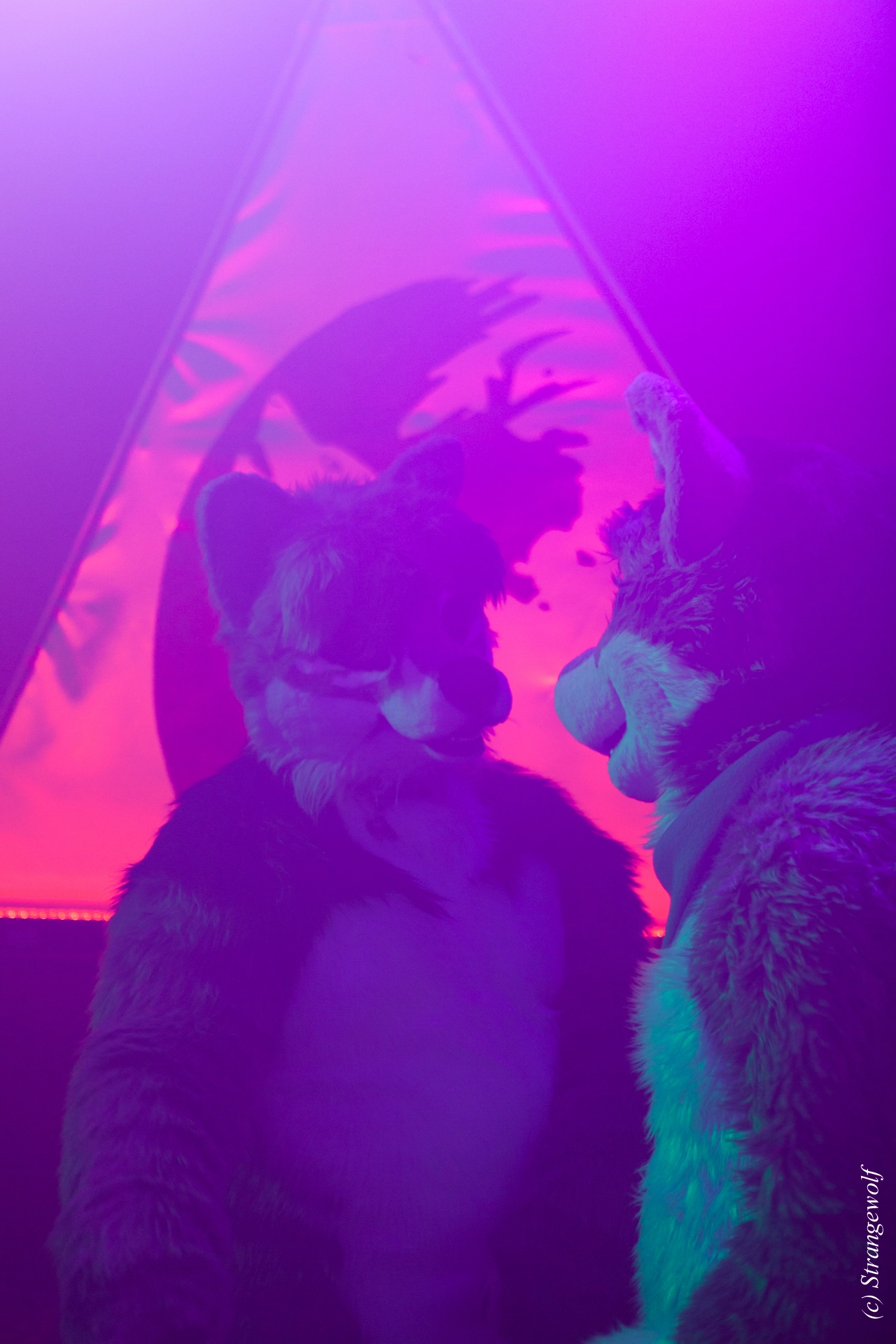 full image IMG_0806-lr19t.jpg