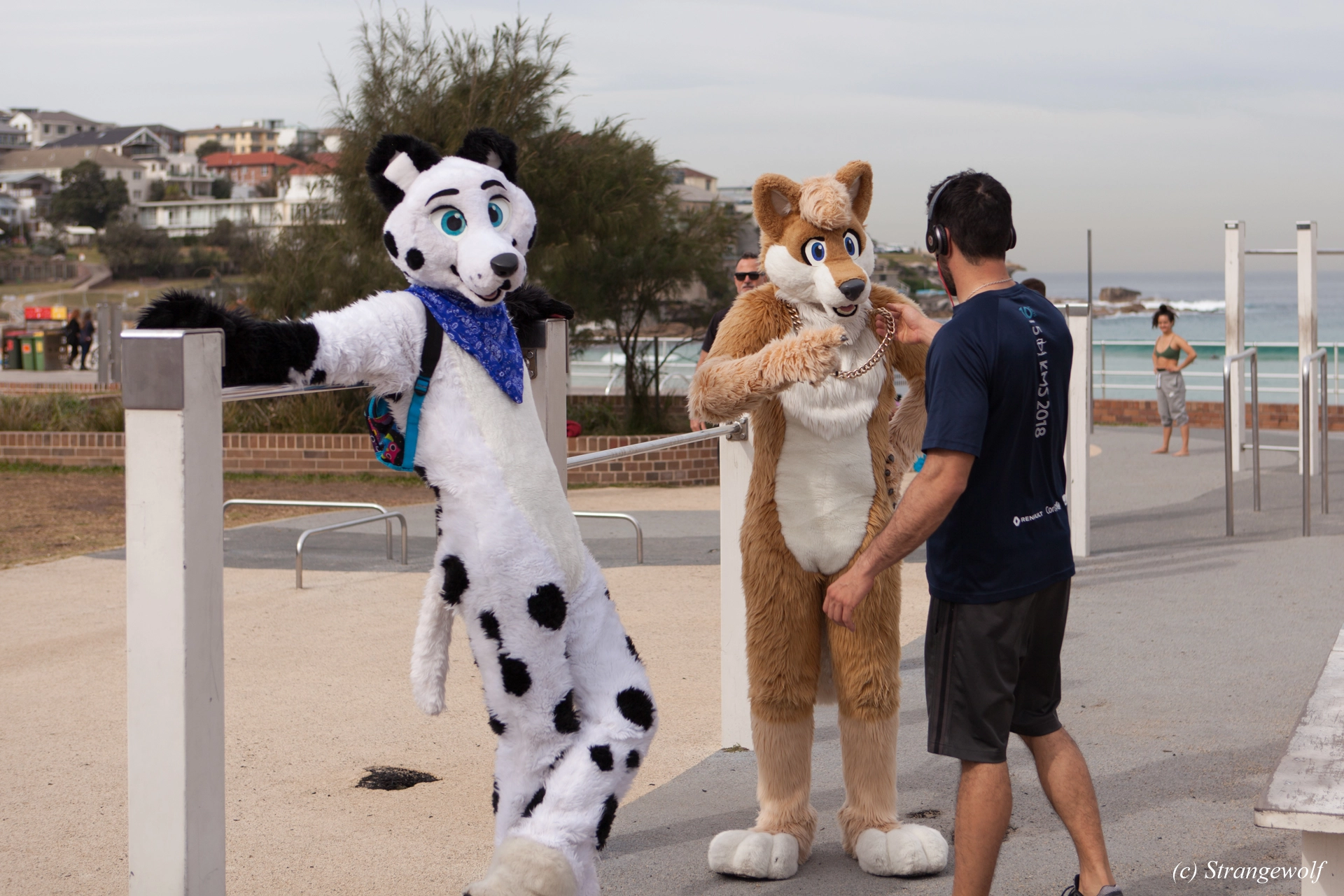 full image IMG_4403-lr19t.jpg