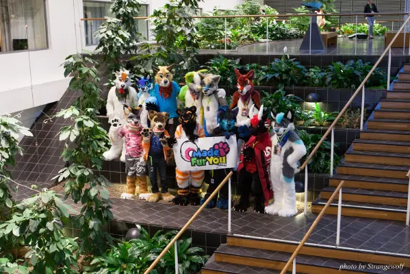 IMG_1707-lr16t.jpg of NFC/NFC2017/