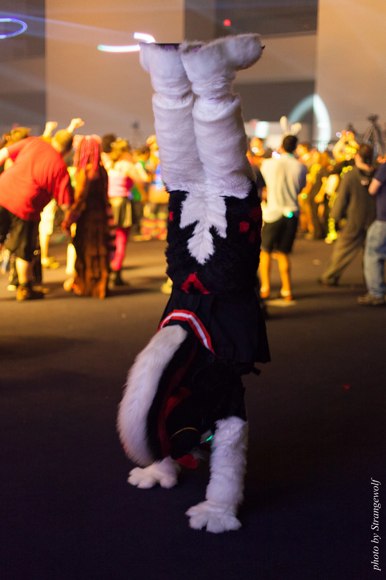 full image IMG_0611-lr19t.jpg