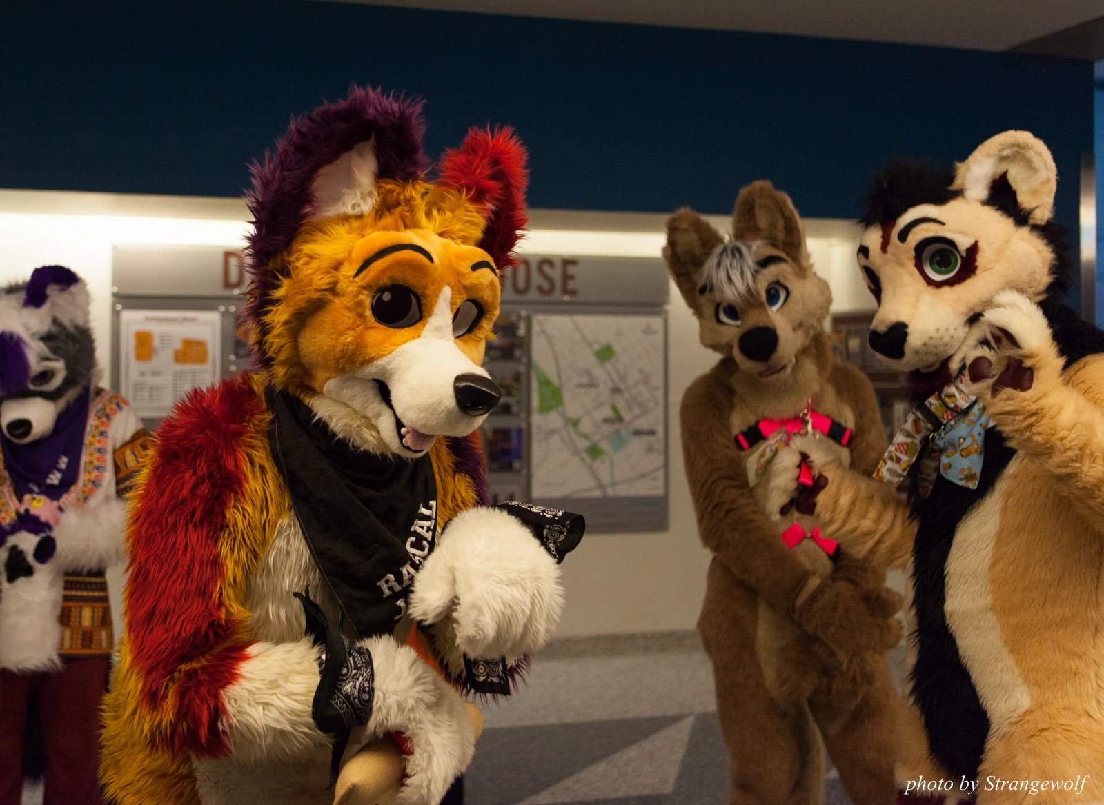 full image IMG_1326-lr16t.jpg