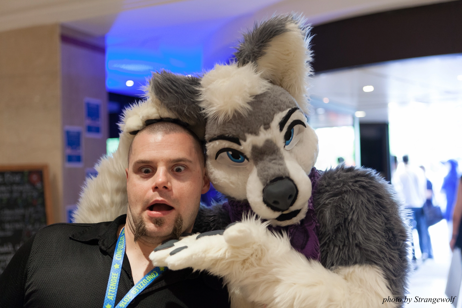 full image IMG_7176-lr16t.jpg