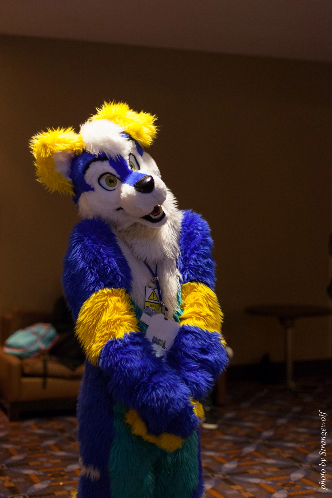 full image IMG_6079-lr16t.jpg