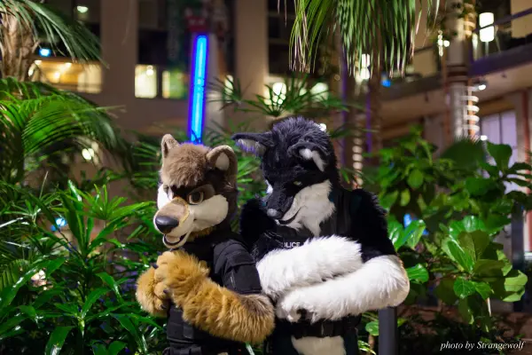 IMG_0740-lr19t.jpg of NFC/NFC2018/