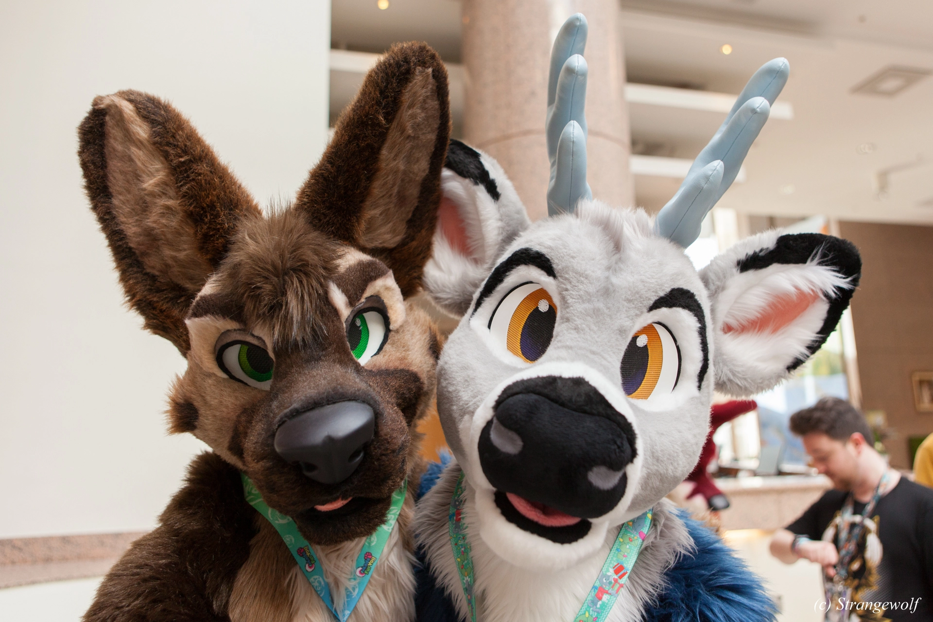 full image IMG_8736-lr19t.jpg