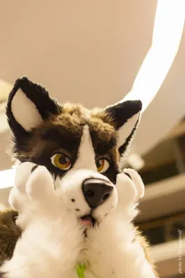 IMG_1957-lr16t.jpg of NFC/NFC2017/