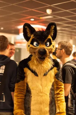 IMG_6446-lr19t.jpg of DFD/DFD2018/