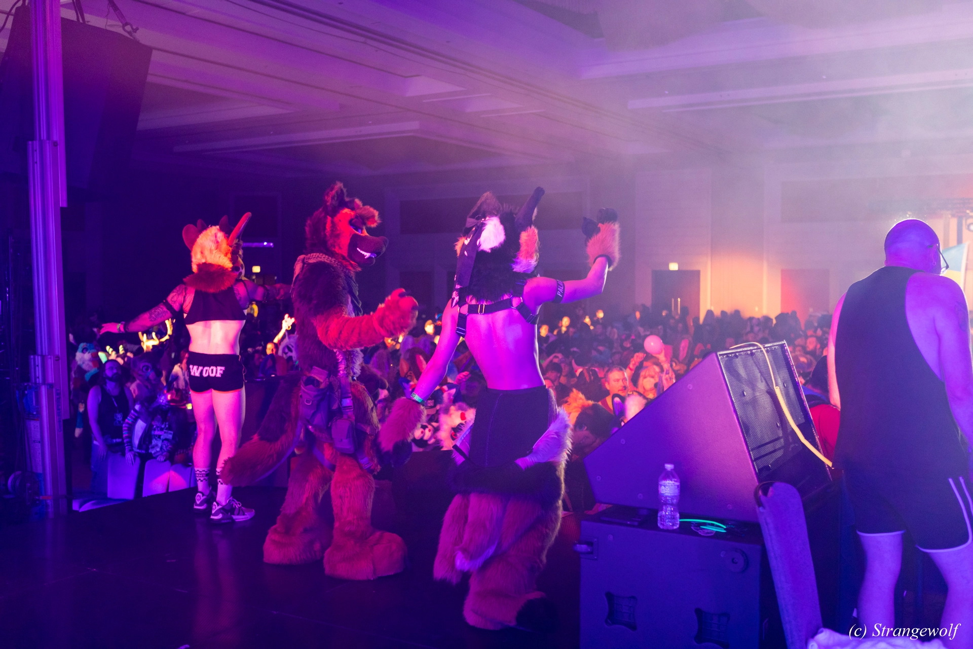 full image 1R3A7050-lr19t.jpg