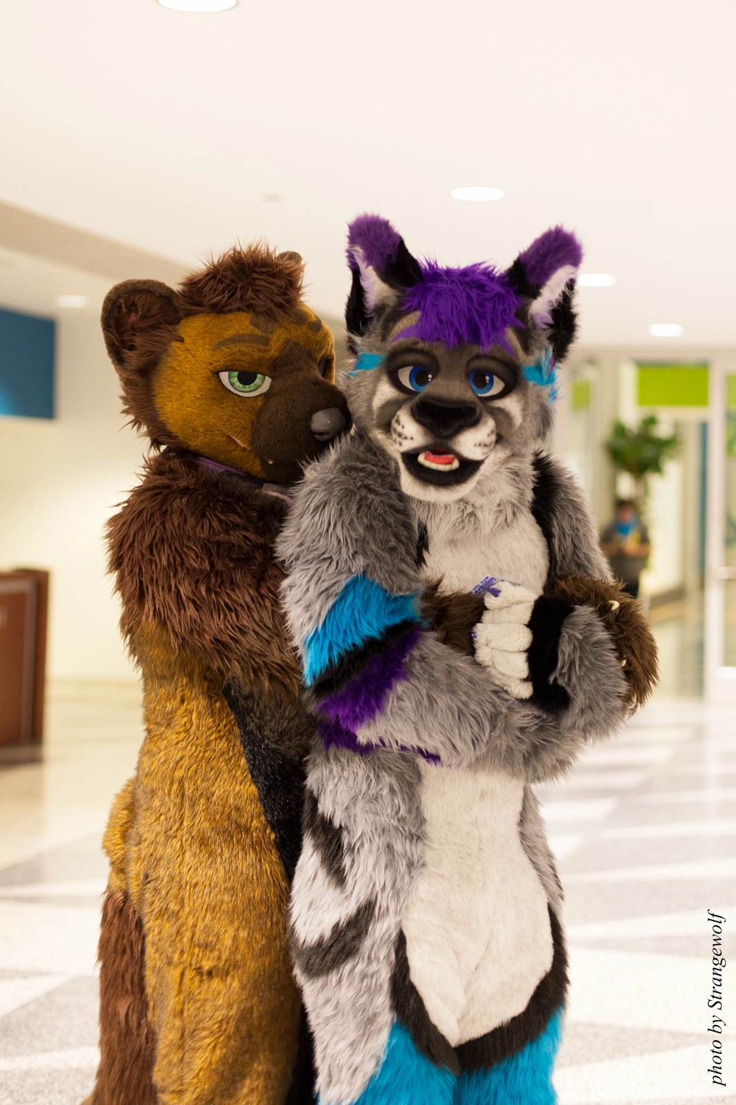 full image IMG_1122-lr16t.jpg