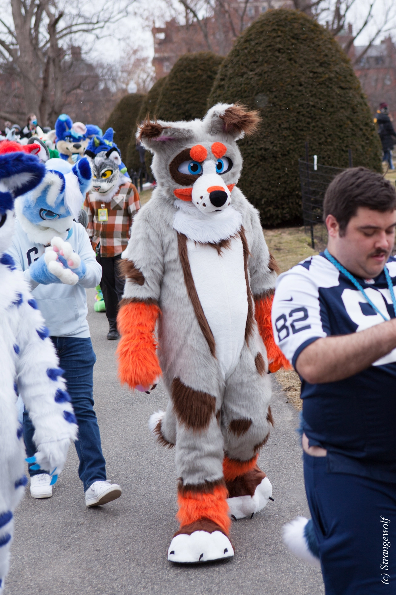 full image IMG_3236-lr19t.jpg