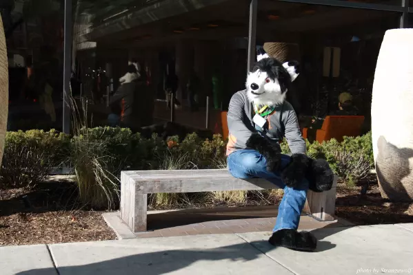 IMG_0911-lr.jpg of MFF/MFF2013/