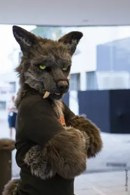 IMG_5085-lr19t.jpg of EF/EF24/