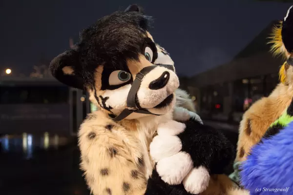 IMG_6962-lr19t.jpg of MFF/MFF2018/