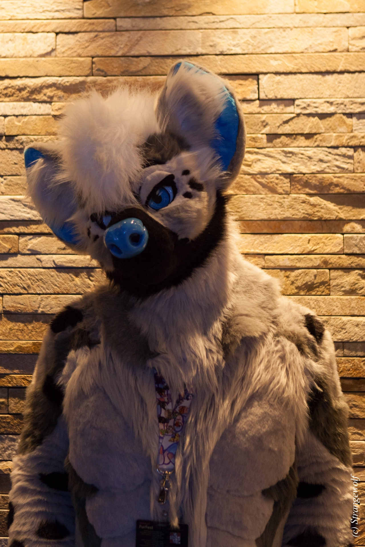 full image IMG_1545-lr19t.jpg