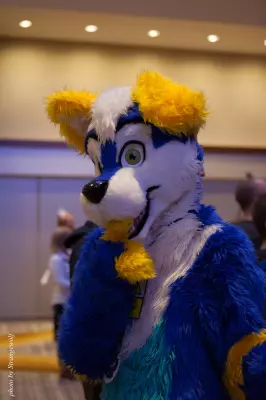 IMG_6029-lr16t.jpg of MFF/MFF2014/