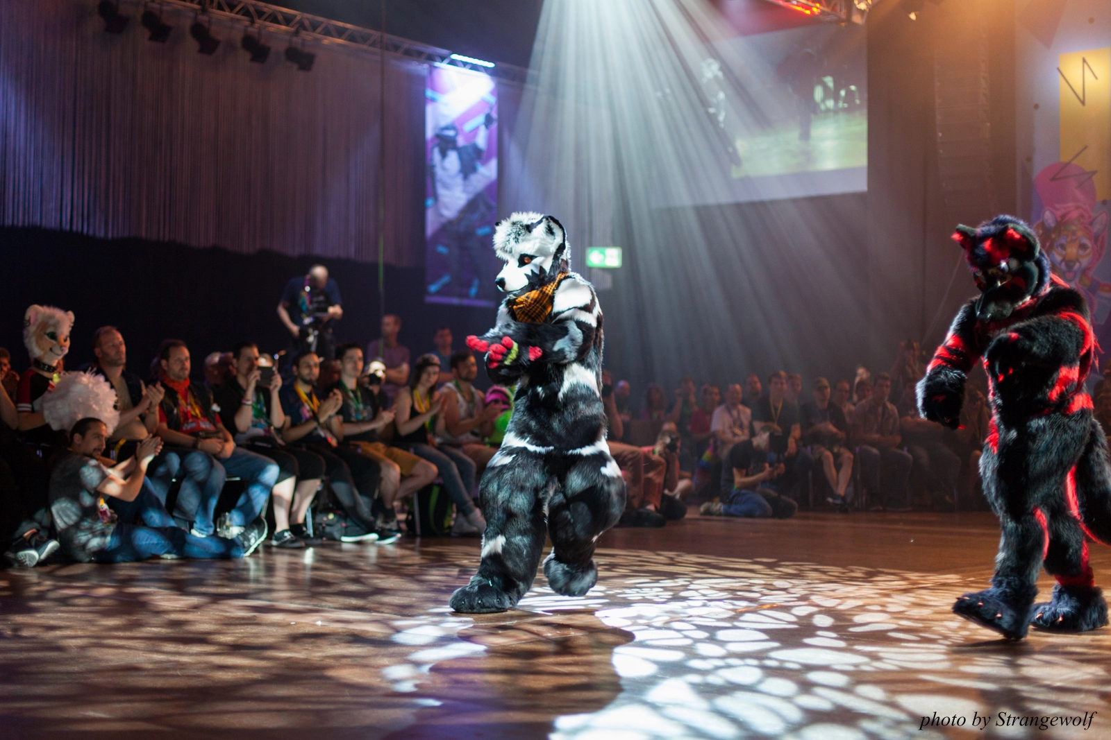 full image IMG_9842-lr16t.jpg