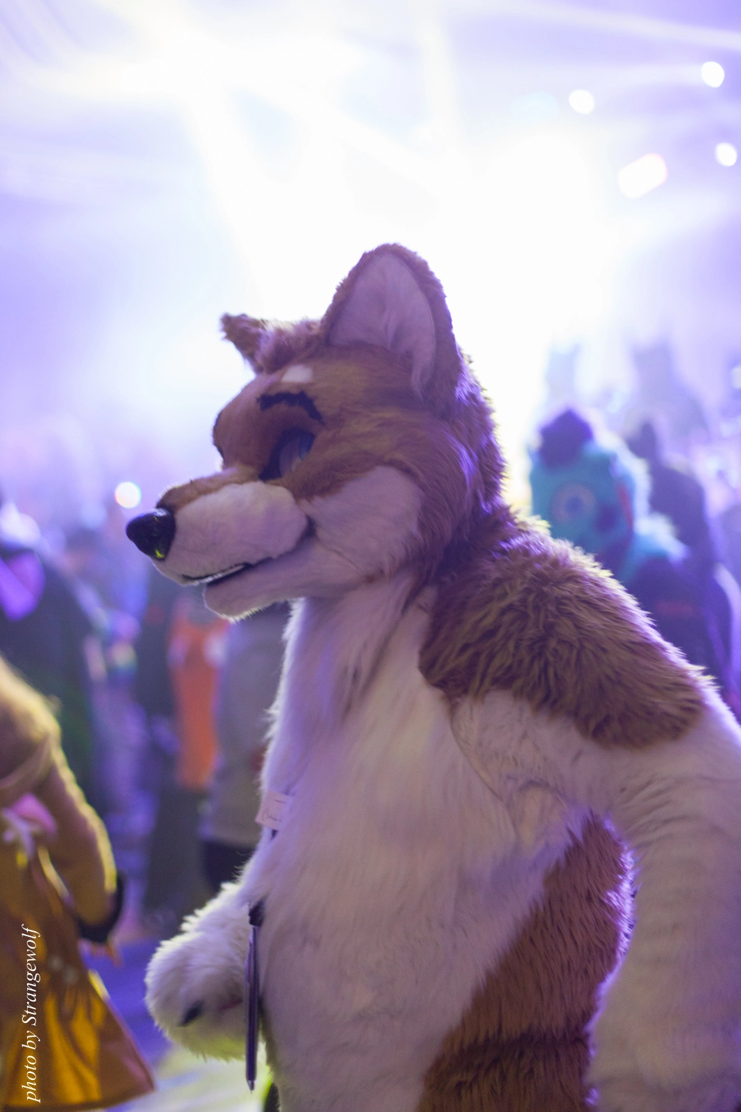 full image IMG_1352-lr16t.jpg