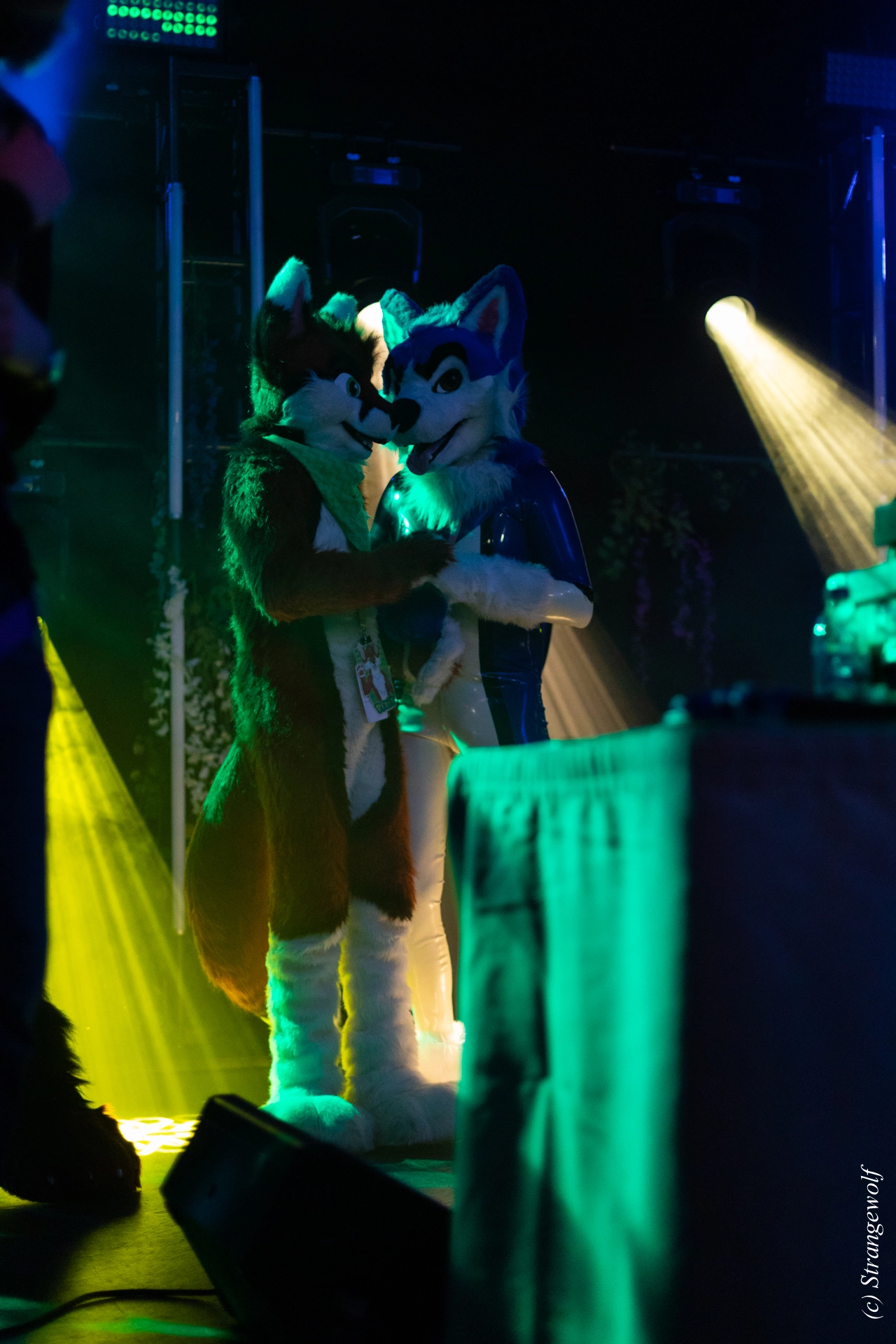 full image 1R3A0616-lr19t.jpg