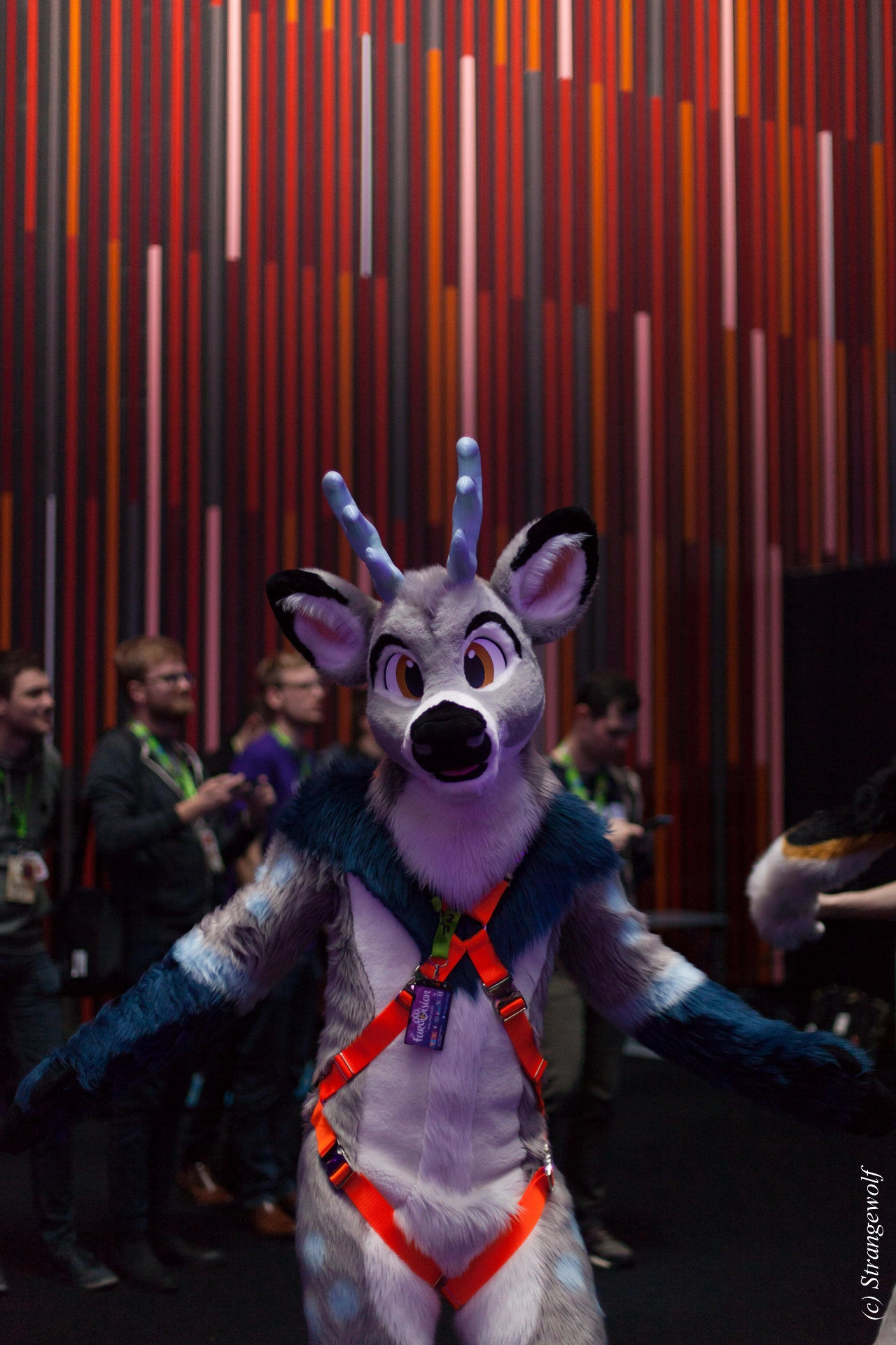 full image IMG_9196-lr19t.jpg