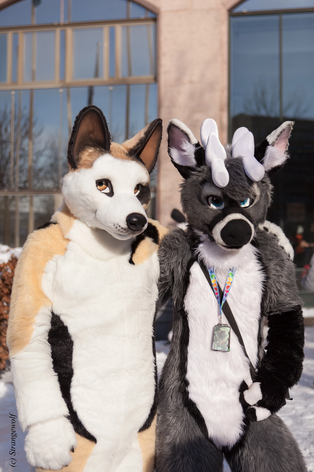 full image IMG_9624-lr19t.jpg