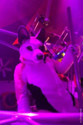 IMG_5055-lr19t.jpg of EF/EF24/