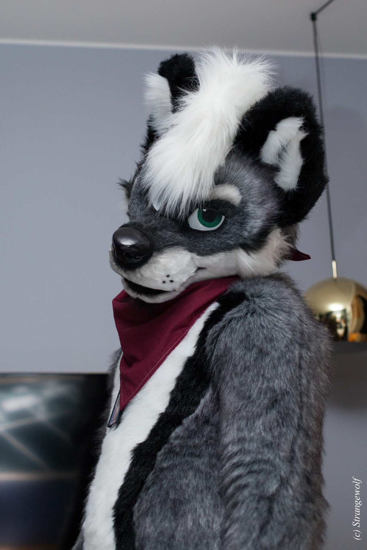 full image IMG_9075-lr19t.jpg