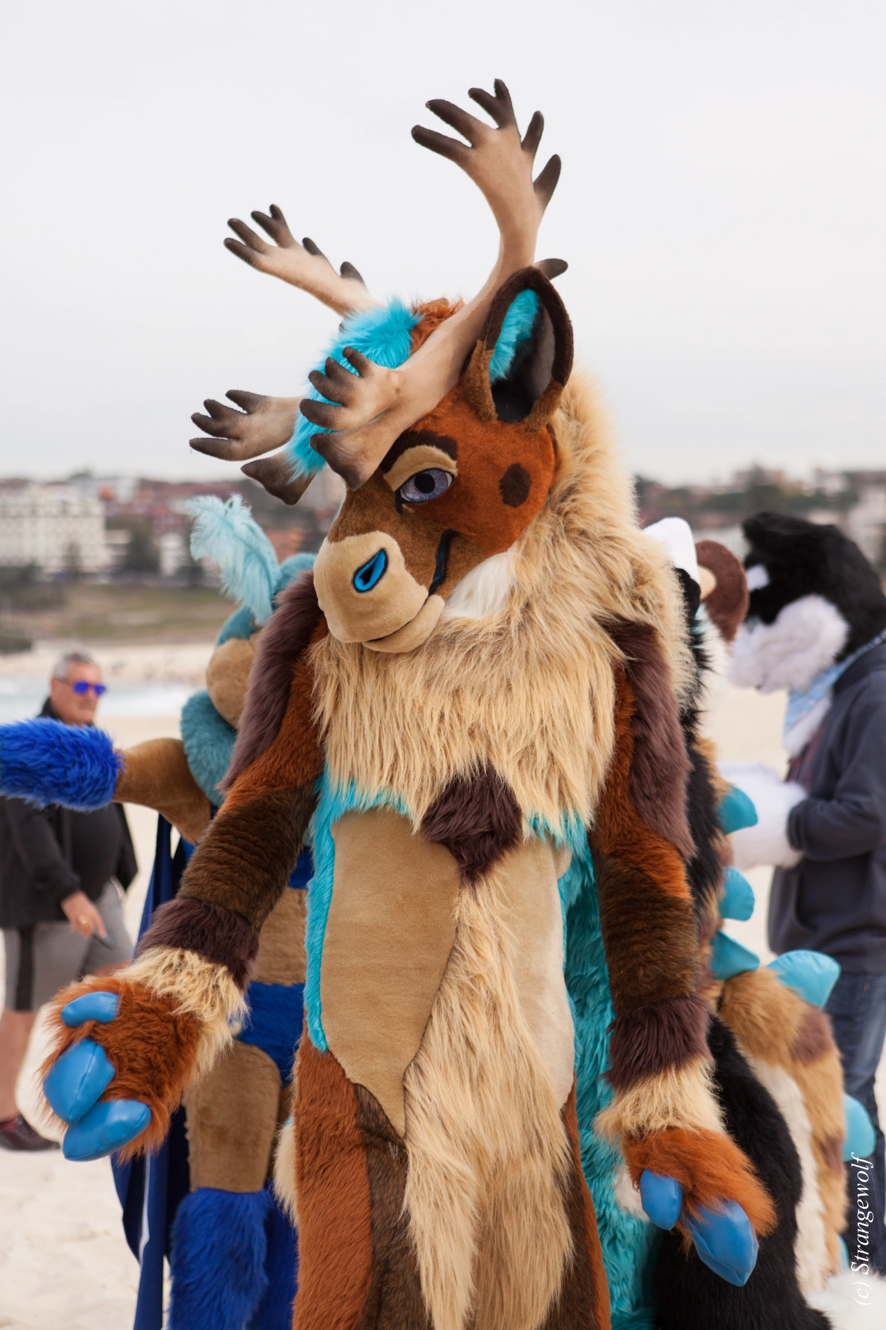 full image IMG_4429-lr19t.jpg