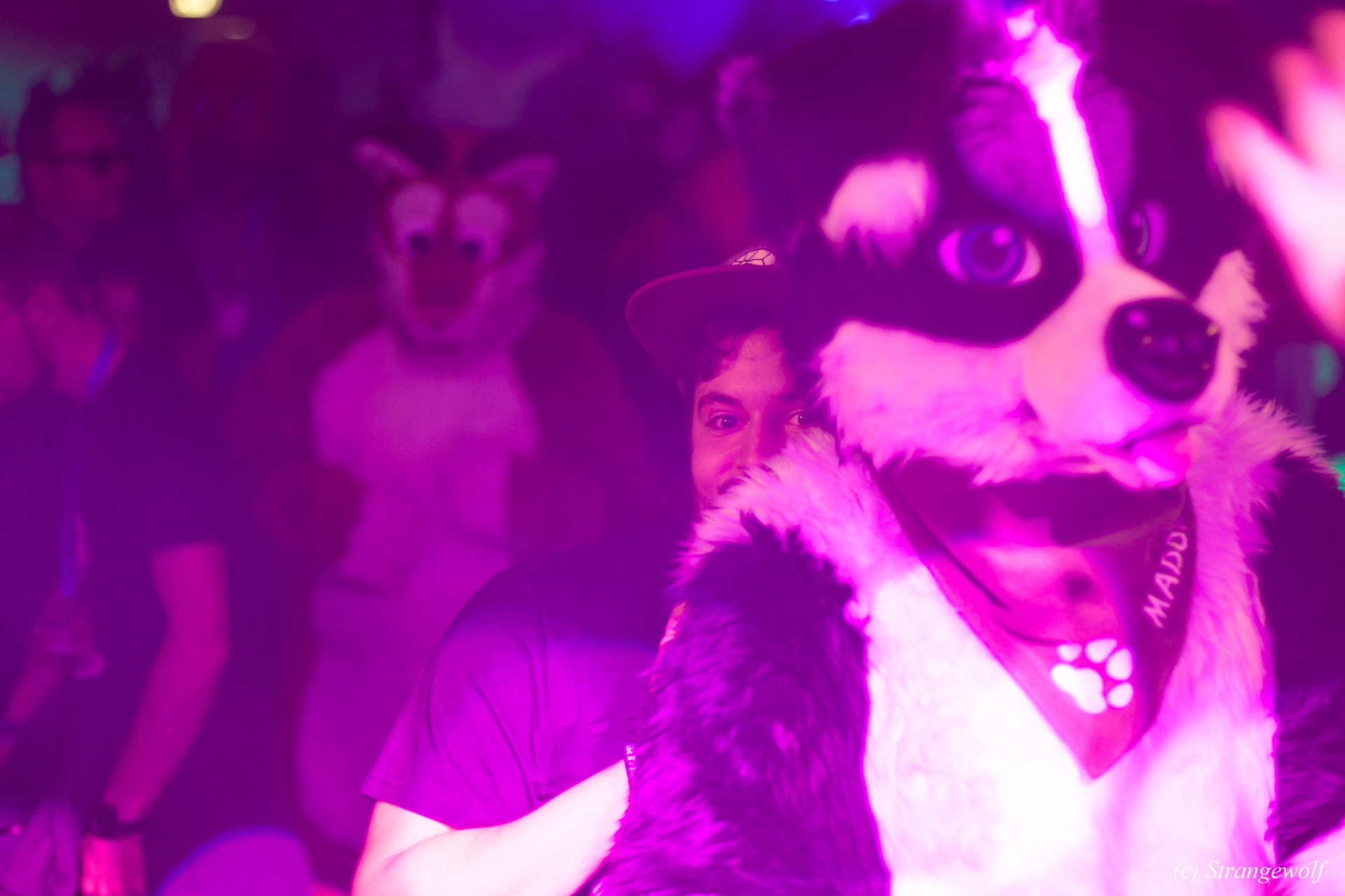 full image IMG_6869-lr19t.jpg