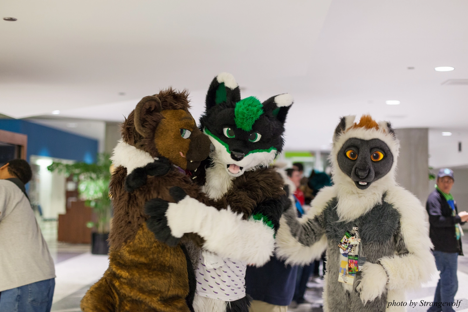 full image IMG_1177-lr16t.jpg